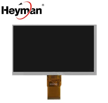 Heyman 7