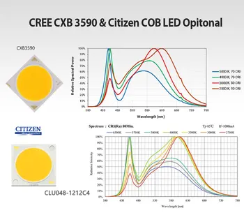 CXB3590 COB LED Grow Light Visą Spektrą 100W 200W Pilietis 1212 & CXB3070 
