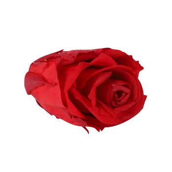 24pcs/dėžutė Konservuotos Gėlės Rožės Gėlių Nemirtingas Valentino Diena, Motinos Diena Draugei Amžinąjį Gyvenimą Gėlių Medžiaga, Dovanų Dėžutėje