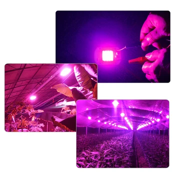 10vnt COB LED Grow Light Chip Fito Lempos Visą Spektrą 20W 30W 50W Diodų Žibintus, Augalai, Sodinukai, Patalpų Šiltnamio efektą sukeliančių Hydroponic