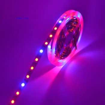 LED Augalų Augti Žiburiai 5050 LED Juostelė Raudonos, Mėlynos 3:1 4:1 5:1 efektą Sukeliančių Hydroponic Augalų Auginimo,5m/daug DC12V