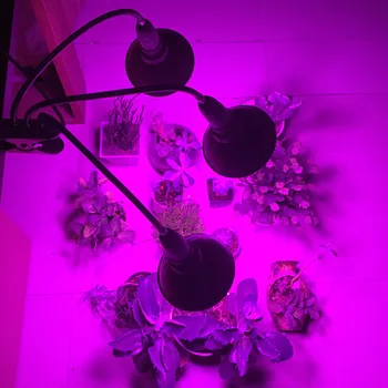 Visą Spektrą 290 LED Gėlių daigai Žibintai Hydroponics Augti Lempos Palapinė Šiltnamio efektą sukeliančių Augalų Augimo JAV, ES Kištukas Su Stalas Įrašą