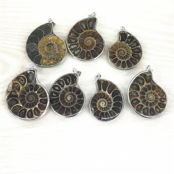 Didmeninė 6pcs/daug Mados Natūralaus Akmens Ammonite Sraigė Seashell Fosilijos Karolius, Papuošalai Priedai Priėmimo Dropshipping