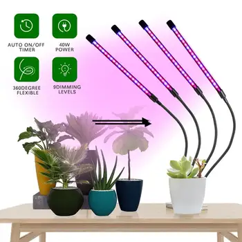 LED Grow Light Kambarinių Augalų USB Fito Lempos Visą Spektrą Fitolampy Su Kontrolės Augti Langelį Augti Palapinę, Šiltnamiuose Gėlių