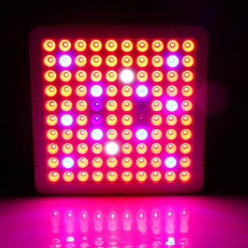 1000W Led Grow Light Visą Spektrą Patalpų Augalų Šviesos Auginimo Lempos 100 LED Fitolampy Augti Palapinė Gėlių Sėja Fito Fito Lempos