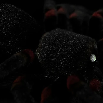 Modeliavimo Meksikos grožio Įdaryti Pliušinis Žaislas Paukščiui-valgyti voras Minkštas Brachypelma boehmei Lėlės Gimtadienio Vaikams Dovanų Gyvūnų Modelis