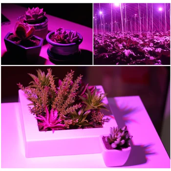 20M LED Augalų Auga Juostelės šviesos Pilno Spektro Gėlių fito lempos Vandeniui efektą Sukeliančių Hydroponic Augimo Šviesos +Maitinimo adapteris