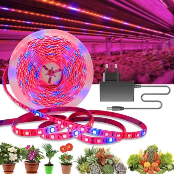 20M LED Augalų Auga Juostelės šviesos Pilno Spektro Gėlių fito lempos Vandeniui efektą Sukeliančių Hydroponic Augimo Šviesos +Maitinimo adapteris