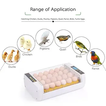 24 kiaušiniai inkubatoriaus Visiškai automatinis kiaušinių inkubatorius Vištų ir ančių kiaušinių veisimo namų inkubavimo įranga