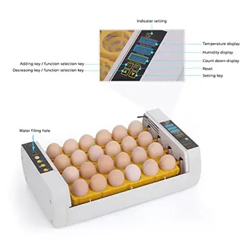 24 kiaušiniai inkubatoriaus Visiškai automatinis kiaušinių inkubatorius Vištų ir ančių kiaušinių veisimo namų inkubavimo įranga