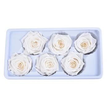 6PCS/BOX 5-6cm Konservuotos Gėlės Rožės Gėlių Nemirtingas Rose Valentino Dienos Dovana Amžinasis Gyvenimas Gėlių Dovanų Didmeninės