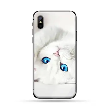 Lovely cat Telefono dėklas Grūdintas stiklas iphone 5C 6 6S 7 8 plus X XS XR 11 PRO MAX