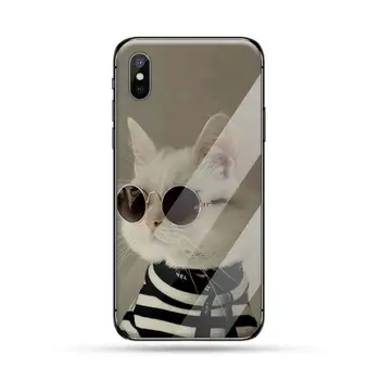Lovely cat Telefono dėklas Grūdintas stiklas iphone 5C 6 6S 7 8 plus X XS XR 11 PRO MAX