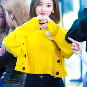 Kpop ROSE Geltona dvieiliai mezgimo hoodies moterų korėjos streetwear saldus apvalios kaklo megztiniai moterų drabužiai