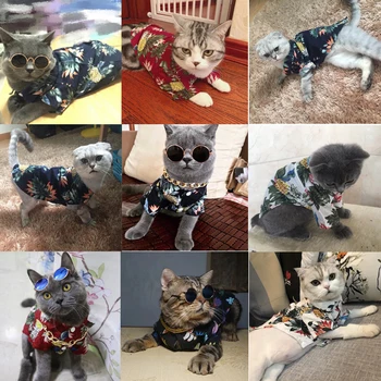 Vasaros Cool Cat T-shirt Marškinėliai Pet Britų Kačių Drabužiai Mažoms Katėms Šunų Marškinėliai Drabužių Katyte Kitty Vest Apranga Augintiniams Produktus